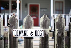Beware of Dog