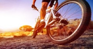 Bicycle Wheels